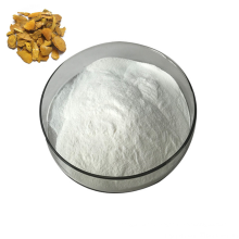 High Quality 100% Natural Polygonum Cuspidatum Root Extract Tran Resveratrol Powder
